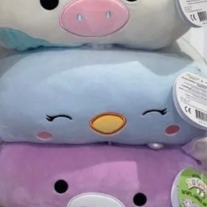 Private listing for Adada17 for baby chick